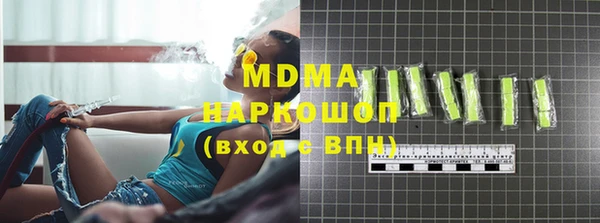 дмт Бородино