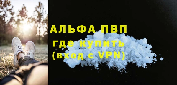 дмт Бородино