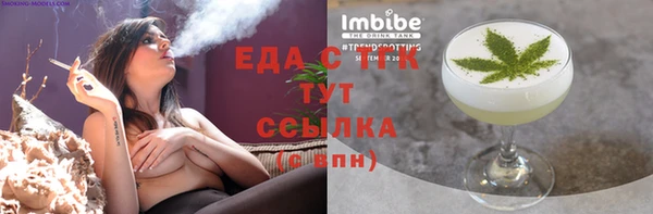 дмт Бородино