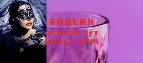 дмт Бородино