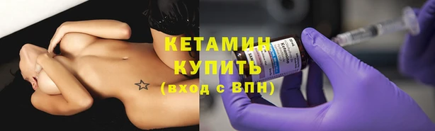 дмт Бородино