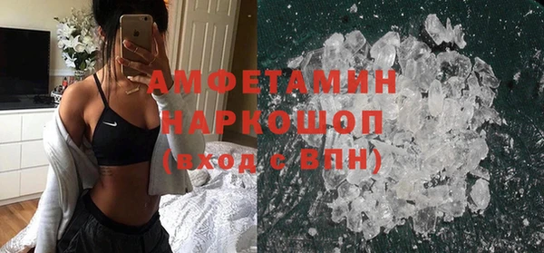 дмт Бородино