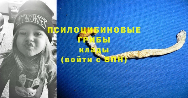 стафф Бронницы