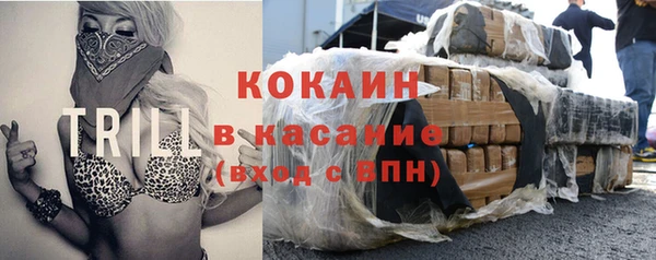 дмт Бородино