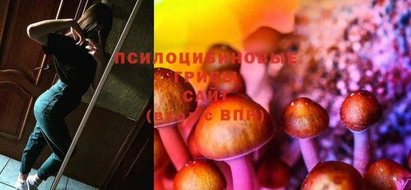 дмт Бородино