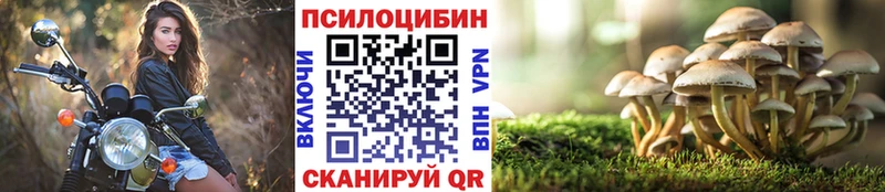 Псилоцибиновые грибы Psilocybe  магазин  наркотиков  Мостовской 